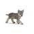 Papo Wolf Cub Figurine - Wild Animal - 7 cm
