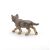Papo Wolf Cub Figurine - Detailed Animal Replica