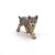 Detailed Papo Wolf Cub Figurine for Collectors