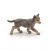 Papo Wolf Cub Collectible Figurine - Animal Kingdom