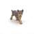 Papo Wolf Pup Figurine, front view of the realistic hand-painted wolf cub toy