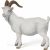 Papo White Goat Figurine - Realistic Farm Animal Toy