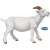 Papo White Goat Figurine, realistic animal toy for kids, farm animal toy