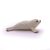 Papo BABY SEAL Figure 61955697