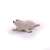 Papo BABY SEAL Figure 61955697