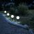 Garden of Eden LED solar globe lights illuminating a garden path at night.