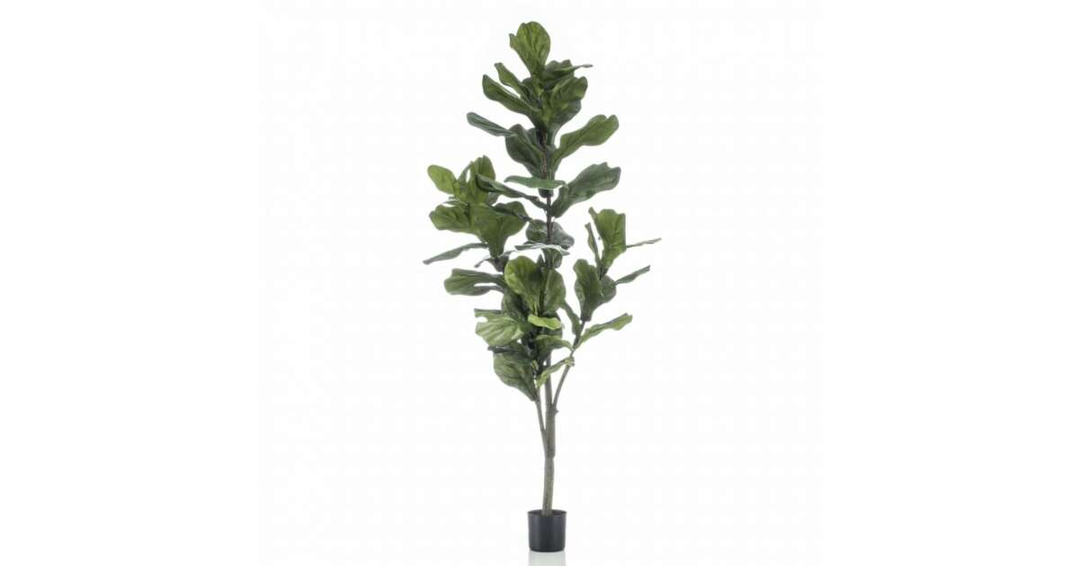 Mesterséges Lantlevelű Fikuszfák - 160 cm - Polietilén 62535359