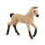 Schleich Hannoveri foal, beige with black legs, toy figure