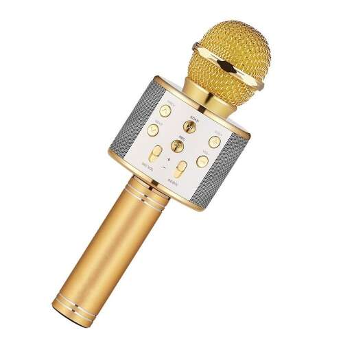 Gyermek karaoke mikrofon vezeték nélküli RLN Electronics™, beépített hangszóró, SD-kártya, többfunkciós, sztereó, arany