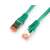 Digitus CAT6 S-FTP Patch kábel, 1 méter, zöld
