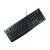Компютърна клавиатура Logitech LOGI K120 Corded Keyboard OEM US Черна 77844044