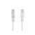 Lanberg UTP Cat6 patch cable, 0.5m, white, RJ45 connectors, close-up