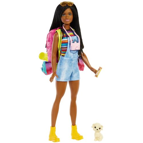 Mattel Barbie Kempingező Brooklyn baba hátizsákkal és kiskutyával