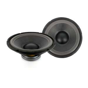 Cargard HSP005 12 inch 300mm 150W 300W 8 ohm subwoofer speaker - Car Speaker