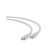 Gembird CAT6A S-FTP Patch Cable 0,25m Grey PP6A-LSZHCU-0.25M 82668463