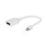 Gembird A-MDPM-DPF-001-W Mini DisplayPort adapter White A-MDPM-DPF-001-W 103786890
