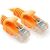 Gembird Patchkabel CAT5e, UTP, 0,5 m, orange 107136911