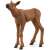 Schleich Wild Life Moose Calf, realistic animal figurine for imaginative play