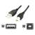 Gembird CCP-USB2-AMBM-10 USB2.0 A-plug B-plug 3m cable Black CCP-USB2-AMBM-10 78810159