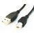 Kabel USB Gembird CCP-USB2-AMBM-10 3,04 m USB A USB B czarny 78810159