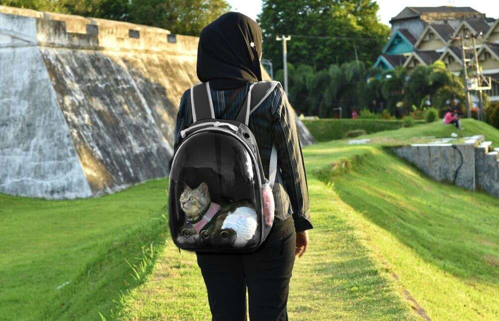 Kisállat hordozó Hátizsák ablakkal - Fekete, Fehér