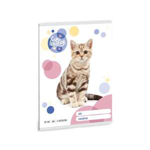 Ars Una: Animale drăgu?e - American Shorthair Cat Caiet de clasa a 3-a 32 pagini A/5