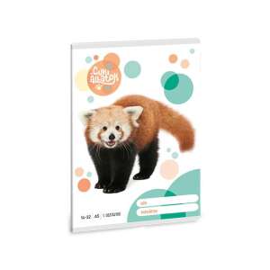 Ars Una: Cuki vörös panda 1.osztályos vonalas füzet A/5 14-32 85283917 