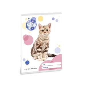 Ars Una: Animale drăgu?e - American Shorthair Cat bro?ură în carouri A/5 27-32