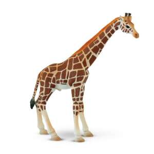 Bullyland 63710 Giraffe Figurine, 20cm tall, detailed, hand-painted, PVC-free, perfect for animal lovers and collectors - Bullyland