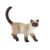 Bullyland Siamese Cat Figurine - Kimmy Toy Figure