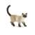 Bullyland Siamese cat figurine, Kimmy, realistic detailed toy figure for kids and collectors