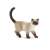 Bullyland Siamese cat figurine, Kimmy, realistic detailed toy figure for kids and collectors