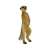 Bullyland Meerkat Figurine, detailed and hand-painted, perfect for animal lovers and collectors