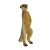 Bullyland Meerkat Figurine - 6 cm, realistic animal toy