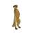 Bullyland 64453 Meerkat Figure, realistic hand-painted animal figurine for kids and collectors
