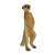 Bullyland 64453 Meerkat Figure, realistic hand-painted animal figurine for kids and collectors