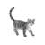 Bullyland Karthauzi cat figurine, Minka, grey and white cat toy, hand-painted, realistic detail