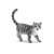 Bullyland Karthauzi cat figurine, Minka, grey and white cat toy, hand-painted, realistic detail