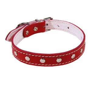 Zizo nyakörv L2 2.0/45 cm Diszes Piros 63781586 - Állattartás