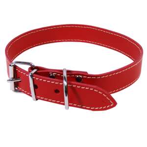 Zizó Clasik kutyanyakörv L4 30 mm/62 cm piros 63781933 - Állattartás