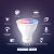 TP-Link Tapo L630 Smart Bulb features infographic