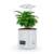 Okos virágcserép LED növénylámpával, párásítóval és Bluetooth hangszóróval növénnyel