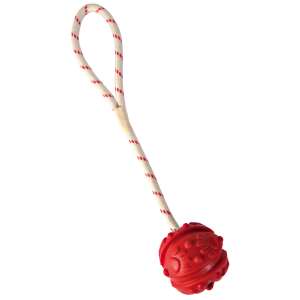 Trixie Aqua Toy Ball on Rope, minge de cauciuc roșie cu frânghie, diametru de 7 cm - Jucării pentru câini