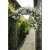 Black metal garden arch trellis for climbing plants, Nature 6040802, with climbing plants