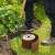 Nature brown garden edging, 0.15 x 10 m roll, person installing