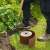Nature green garden edging 0,15 x 10 m 65442855