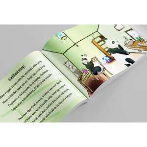 PanDani  kalandjai - Pandani Pilóta lesz és PanDani kalandjai 2 - A képmás / A születésnap együtt