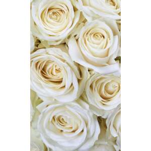 Fehér rózsafejek, poszter tapéta 150*250 cm 64672077 