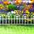 White plastic garden edging, flower bed border, decorative fence, 60cm long, 30cm high