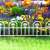 White plastic garden edging, flower bed border, decorative fence, 60cm long, 30cm high
